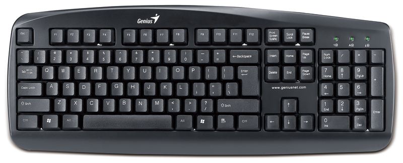 Genius KB-110 Wired Desktop Keyboard for PC, Black